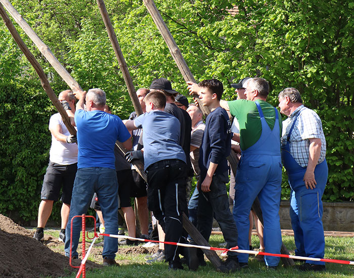 Maibaum-Uhyst-12