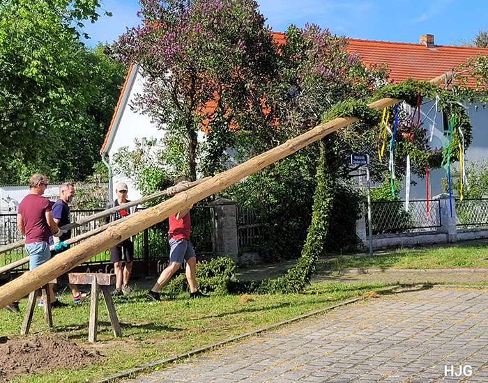 Maibaum-Uhyst-14
