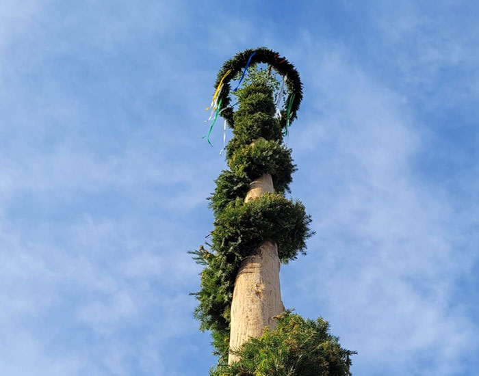 Maibaum-Uhyst-15